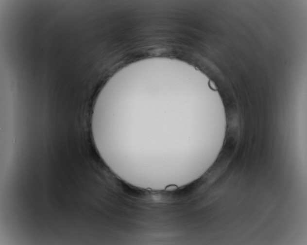 X0000088200565200705221725