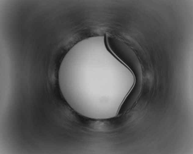 X0000088200566200705221725