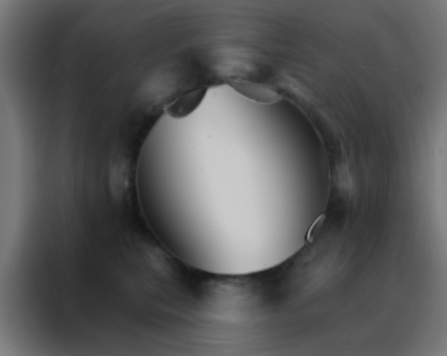 X0000088200567200705221725
