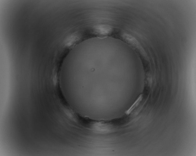 X0000088200568200705221725
