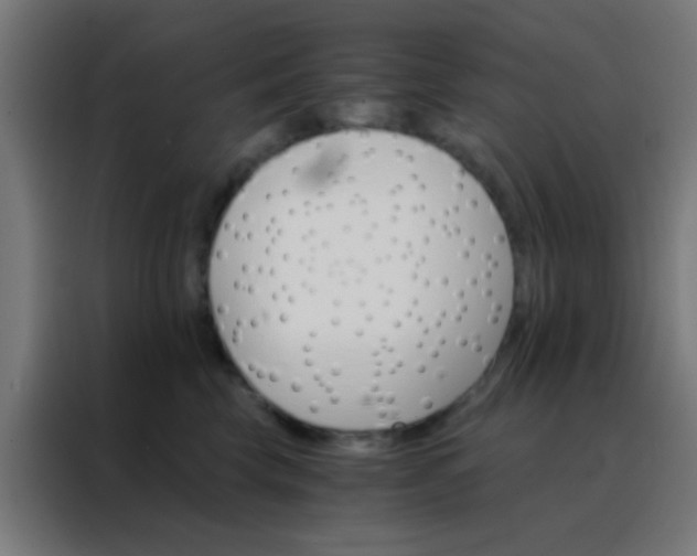 X0000088200569200705221725