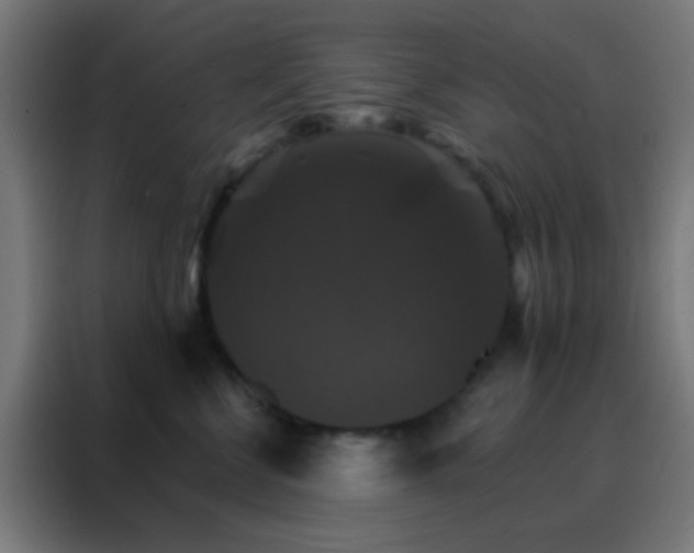 X0000088200570200705221725
