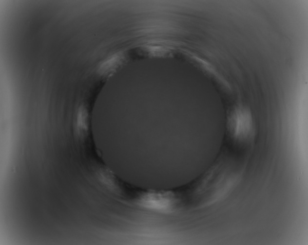 X0000088200571200705221725