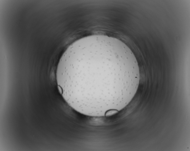 X0000088200573200705221725