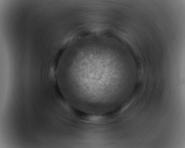 X0000088200575200705221725
