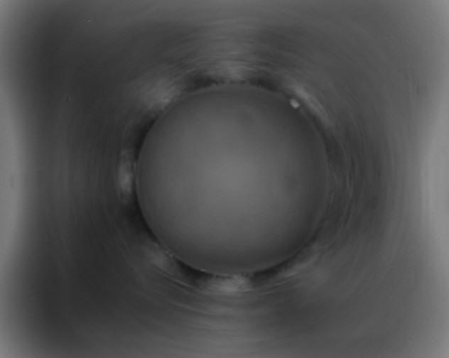 X0000088200576200705221725