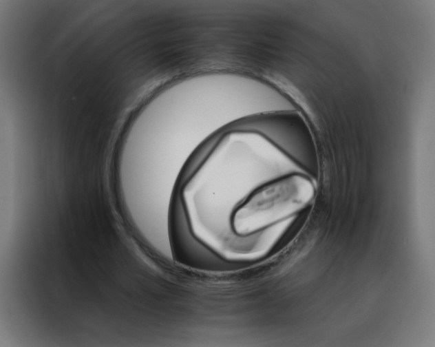 X0000088200581200705221724