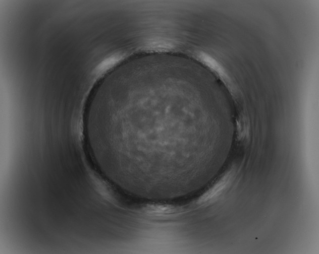 X0000088200582200705221724