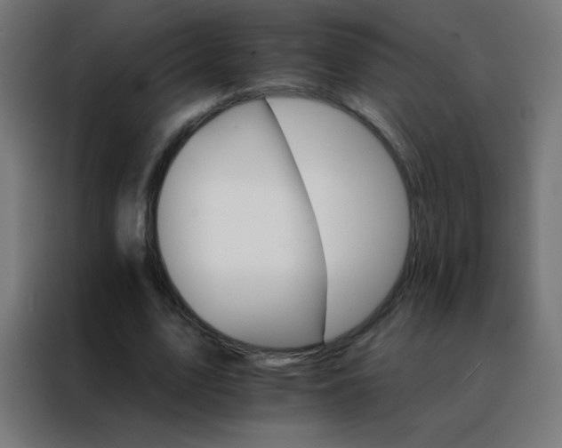 X0000088200583200705221724