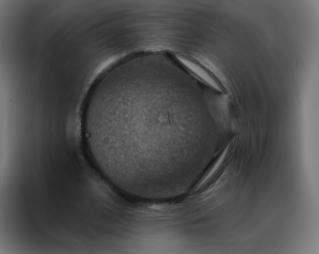 X0000088200584200705221724