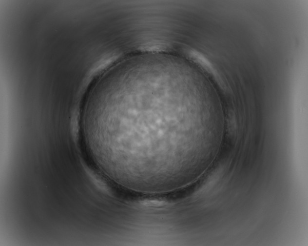 X0000088200586200705221724
