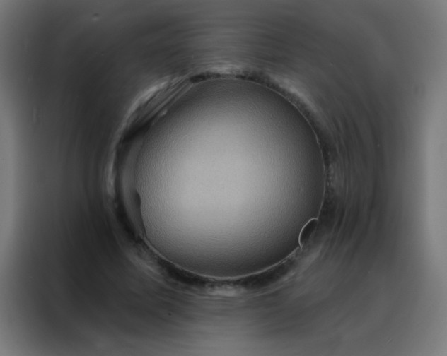 X0000088200587200705221724