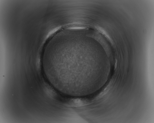 X0000088200588200705221724