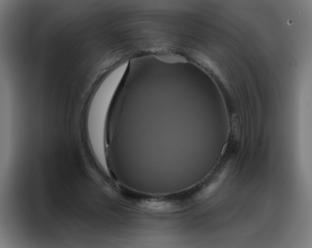 X0000088200589200705221724