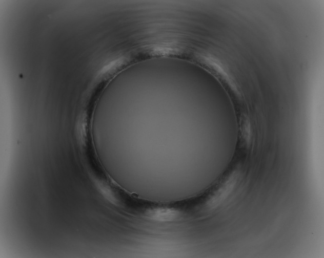 X0000088200590200705221724