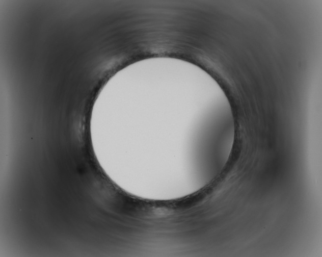 X0000088200592200705221724