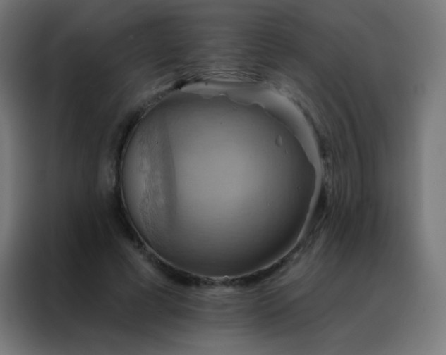 X0000088200593200705221724