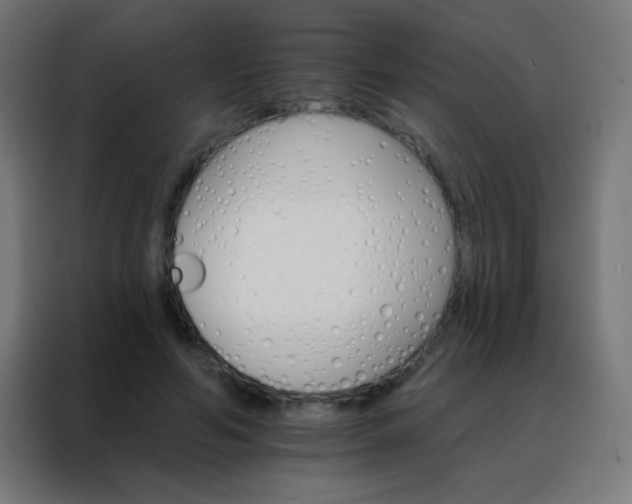 X0000088200594200705221724
