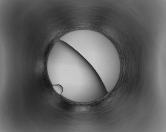 X0000088200595200705221724