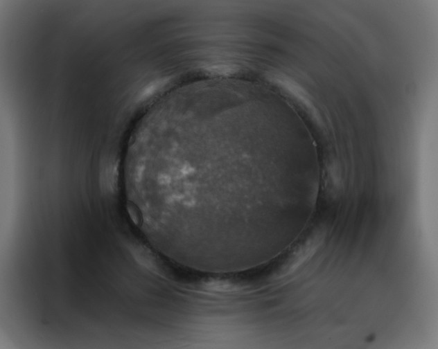 X0000088200596200705221724