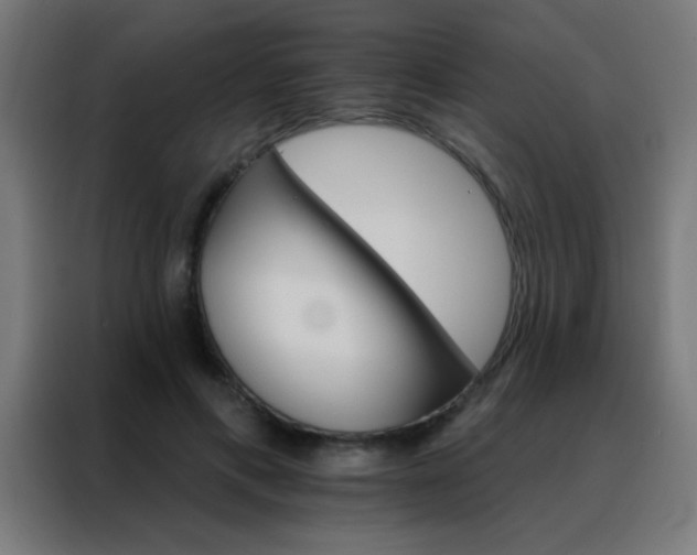 X0000088200597200705221724
