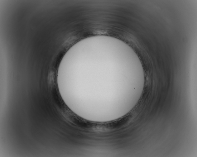 X0000088200598200705221724