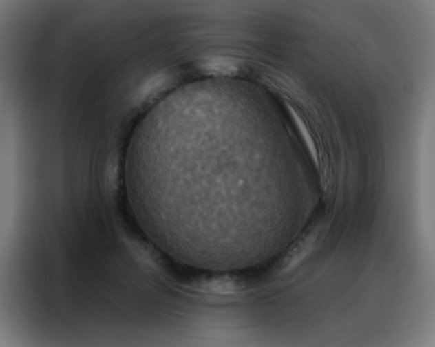 X0000088200600200705221724