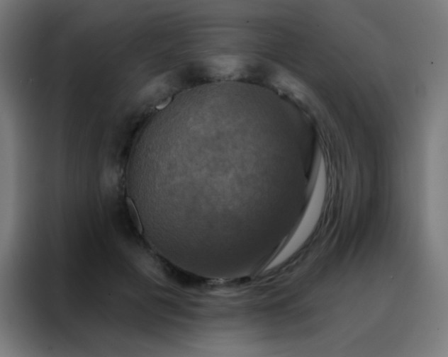 X0000088200601200705221724