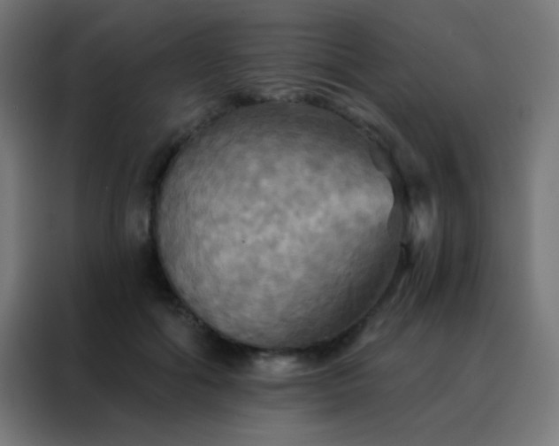 X0000088200602200705221724