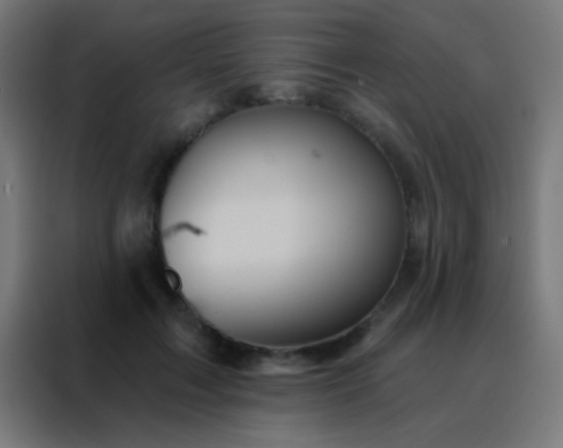 X0000088200603200705221724