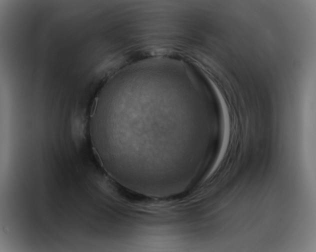 X0000088200604200705221724