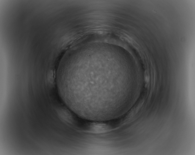 X0000088200605200705221724