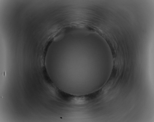 X0000088200606200705221724