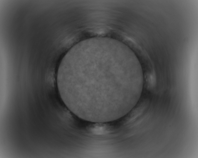 X0000088200612200705221724