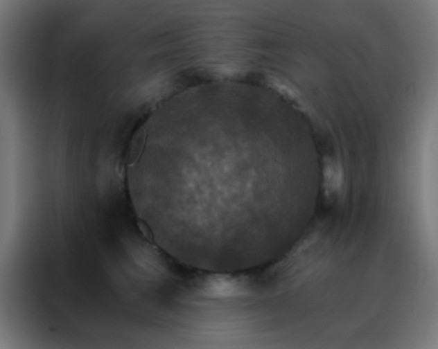 X0000088200613200705221724