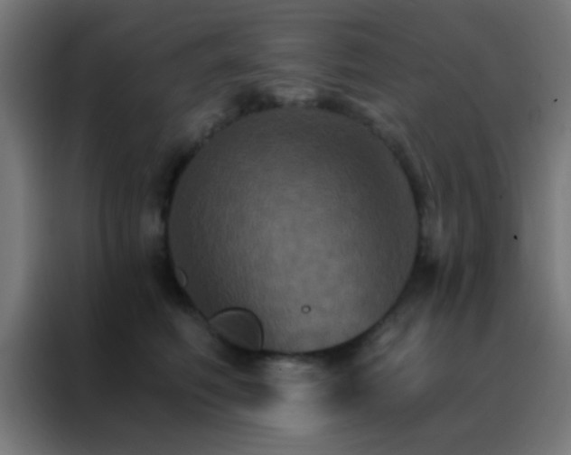 X0000088200614200705221724