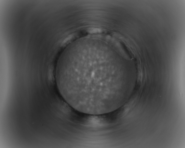 X0000088200616200705221724