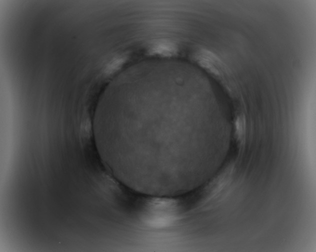 X0000088200617200705221724