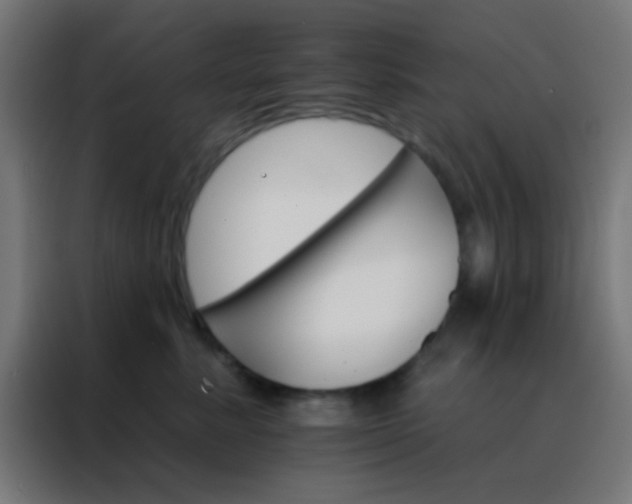 X0000088200619200705221724