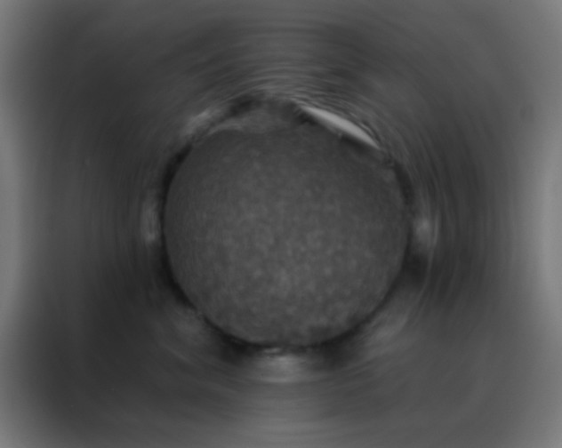 X0000088200620200705221724