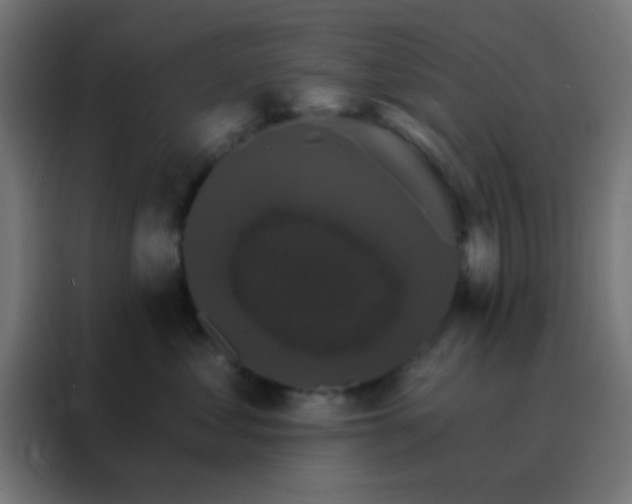 X0000088200621200705221724