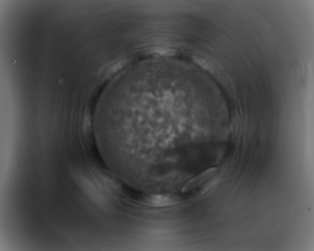 X0000088200623200705221724