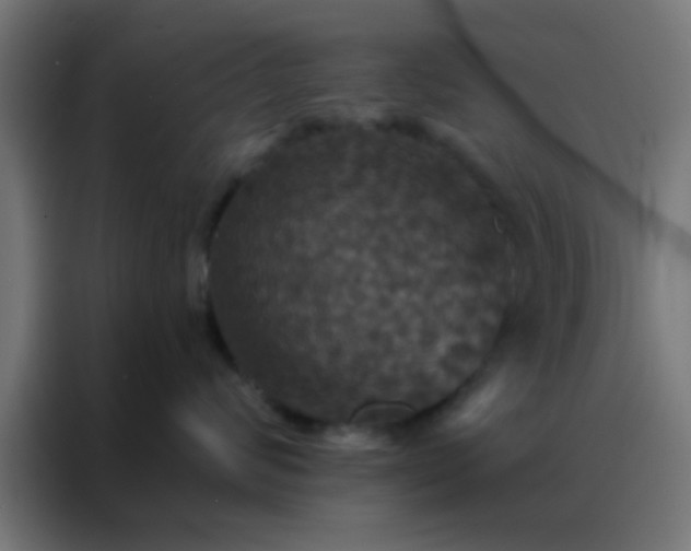 X0000088200624200705221724