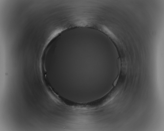 X0000088200626200705221723