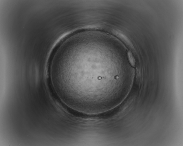 X0000088200628200705221723