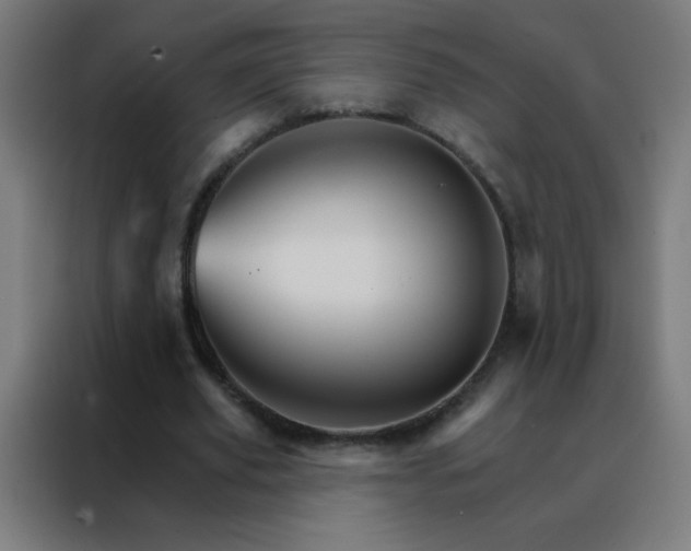 X0000088200629200705221723