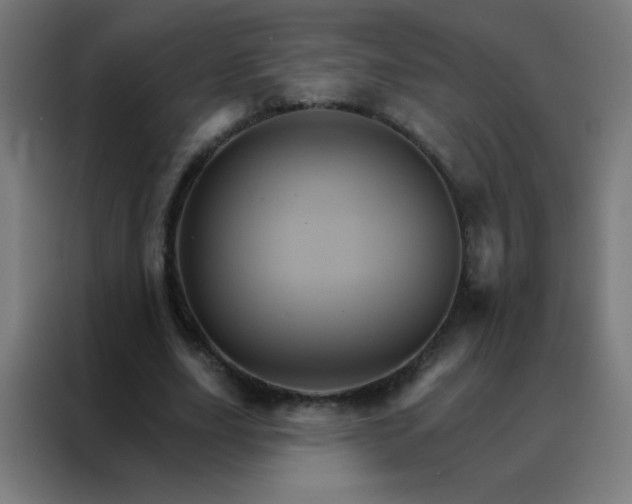 X0000088200631200705221723