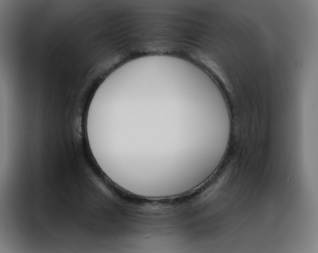 X0000088200633200705221723