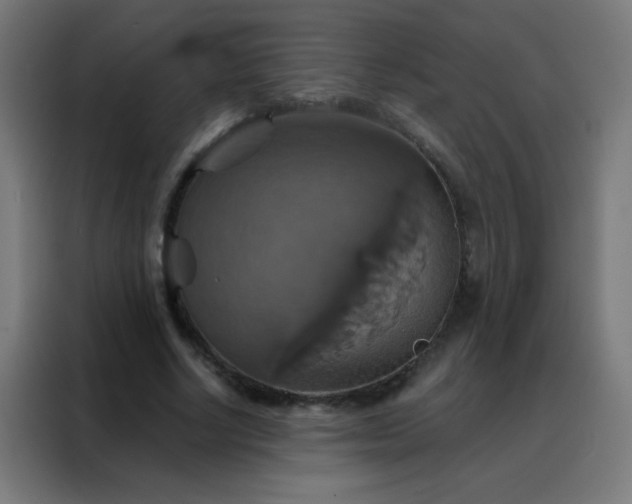 X0000088200634200705221723