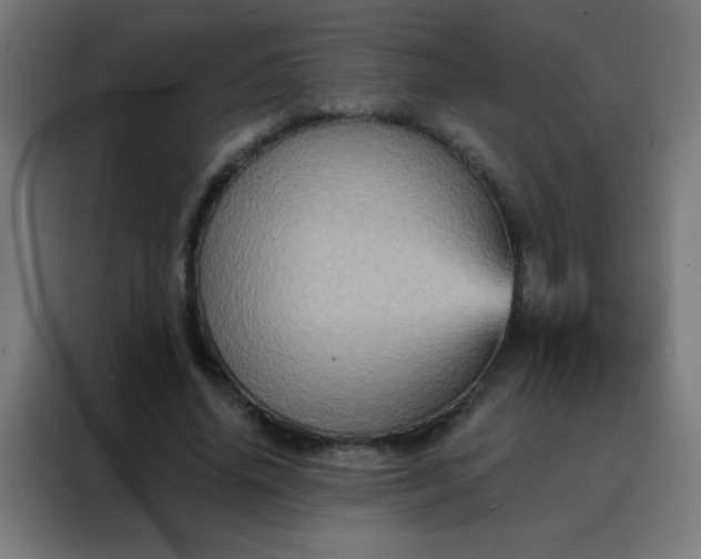 X0000088200636200705221723